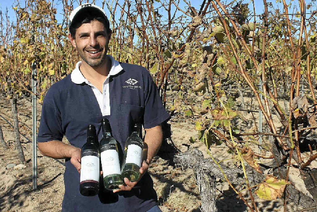 SUCCESSFUL SEASON: Golden Grove Estate wine maker Ray Costanzo finishes this vintage knowing three of his wines impressed lauded wine critic James Halliday. SUCCESSFUL SEASON: Golden Grove Estate wine maker Ray Costanzo finishes this vintage knowing three of his wines impressed lauded wine critic James Halliday.